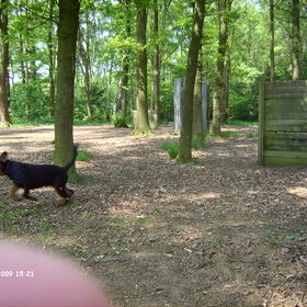 twijfelen