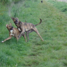 Pas op!!