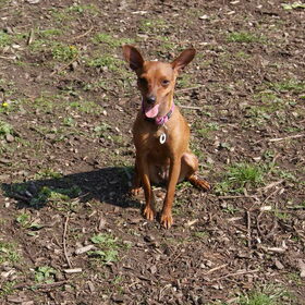Dina heeft het warm.