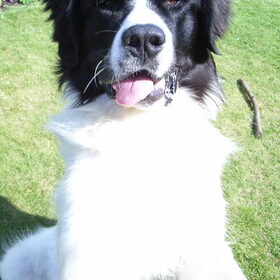 Fedor is ene beetje Goofy.