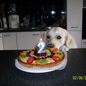 2 jaar jiepii