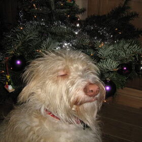 Kerst