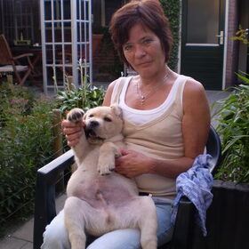 hoezo op schoot