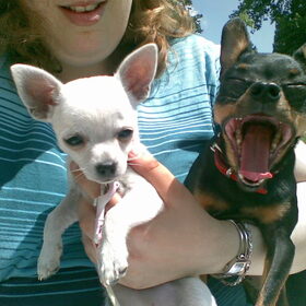 Laila moest gapen haha
