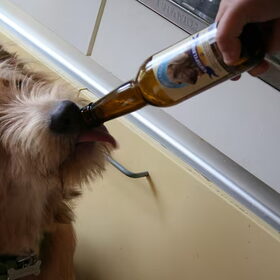 Mag het ook Proost! zijn in plaats van smakelijk eten... :-)