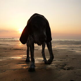 Op het strand
