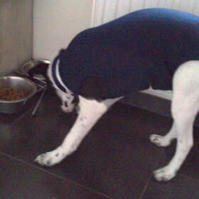 Eten na castratie