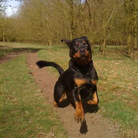 Foto? Niks foto! Ik ren hard weg..