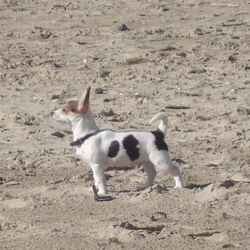 stoer ben ik he op het hele grote strand