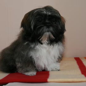 Charley