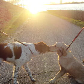 Een kus bij zonsondergang
