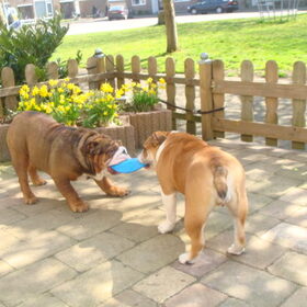 persy en clinto