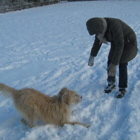 gooi nou een sneeuw bal !