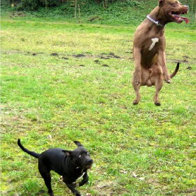 jump ...oeps