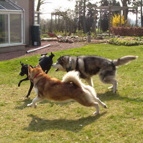 Het is maar spelen hoor!