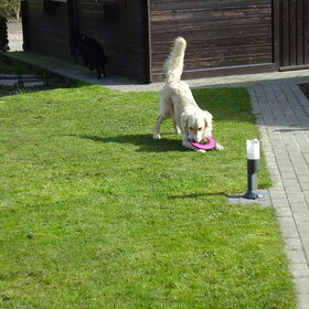 even spelen