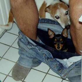 Poepen met de baas!
