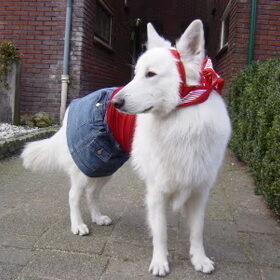 ietsie minder stoer