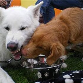 Ook mijn water?