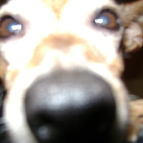 hihi nieuwshierig op de camera