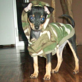 Camo