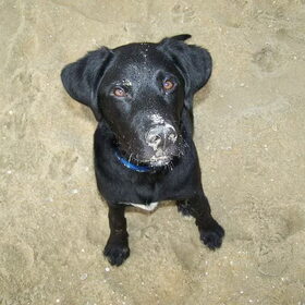 Wat 'n lief koppie!!