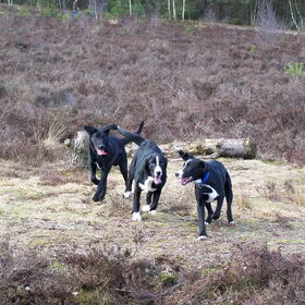 Max met 2 broertjes