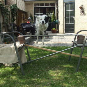 Jumping Mex