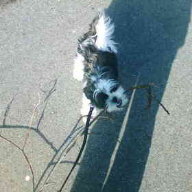 Max met Tak