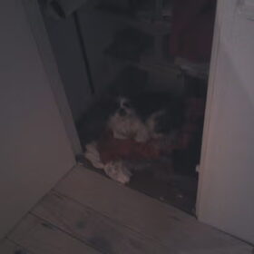 Waar is Max???