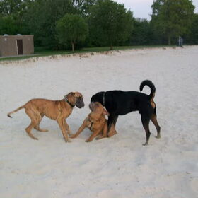 o jee ook dat nog