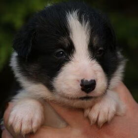 Luka 3 1/2 week oud
