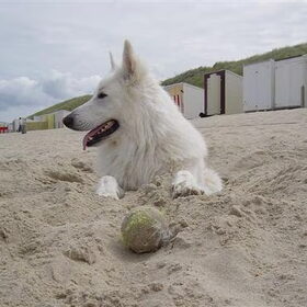 Mexx op het strand