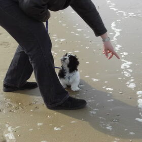 Max 1 e keer naar het strand