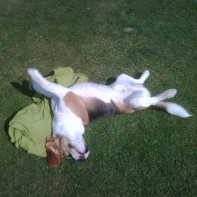 lui in de zon