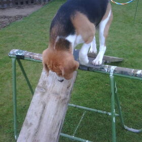 Bangle test het parcour
