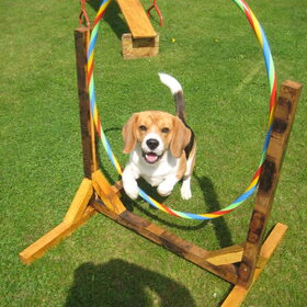 Bangle's hoelahoep jump