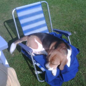 lui in de zon
