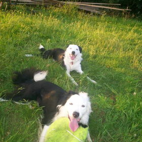Bikkel en Barry