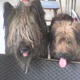 Vader en dochter