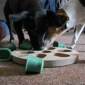 samen spelen