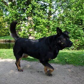 spannend