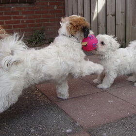Spelen is niet eng!