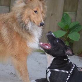 Dex en Daisy
