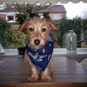 Lola met haar stoere sjaaltje!!