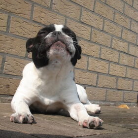 zon