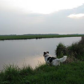 hee ,daar gaat m,n bal