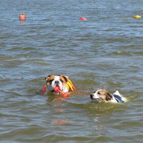 evve zwemme samen