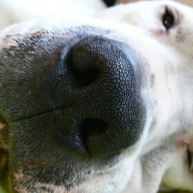 up close and personal
