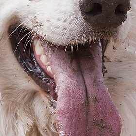 Smile!!!